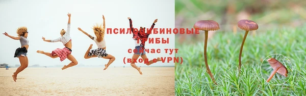 гидропоника Семёнов