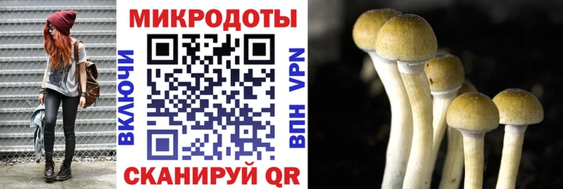 магазин наркотиков МЕГА как зайти Галлюциногенные грибы GOLDEN TEACHER Кубинка