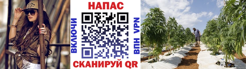 мега сайт  Кубинка  Марихуана VHQ 